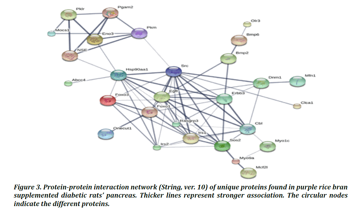 pharmaceutical-innovation-interaction-network
